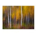 Trademark Fine Art Andreas Christensen 'Abstract Fall' Canvas Art, 14x19 1X01423-C1419GG